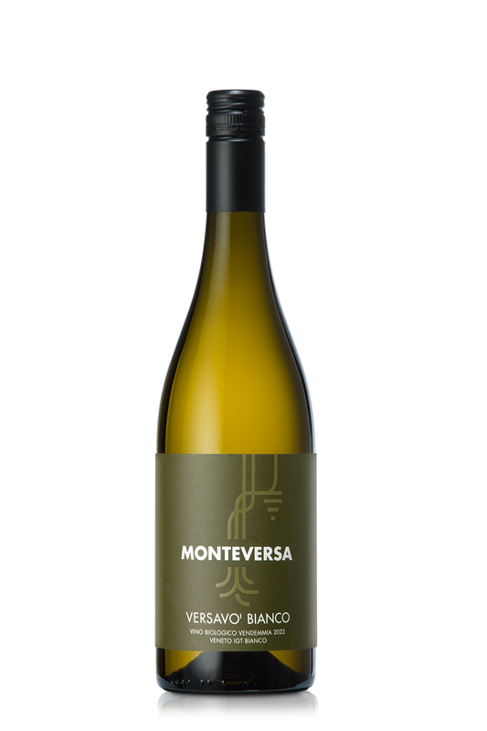 Versavo Garganega 2023- Monteversa