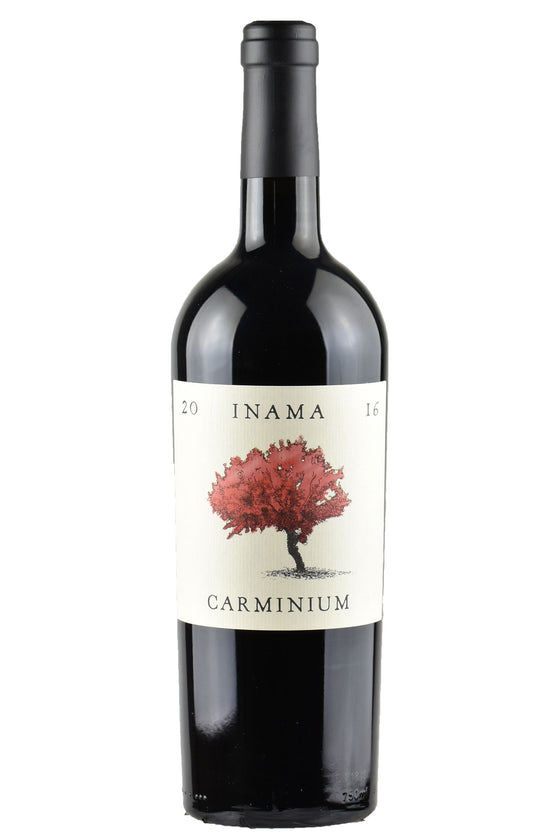 Carminium Carmenere Colli Berici 2019 Magnum - Inama