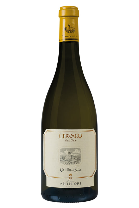 Cervaro Della Sala 2024 - Antinori